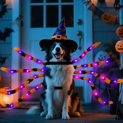 Xl-Size Soft Fur Dog Spider Costume with 64 LED Spider Legs - Giant Design for Large Dog Breeds - Ideal for Halloween Party Photos and Pet Cosplay